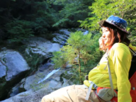 屋久杉莊民宿