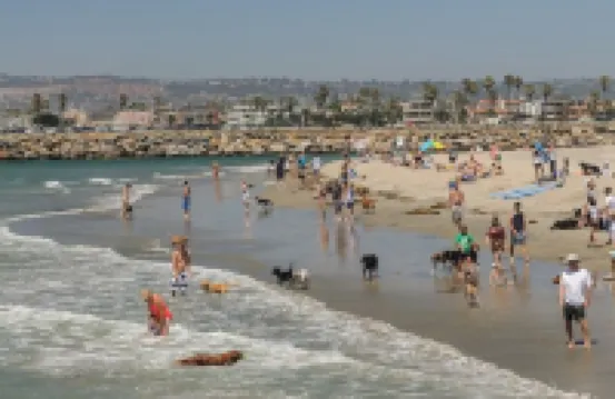 OB Cottage Hideaway Private Patio & Steps to the Sand