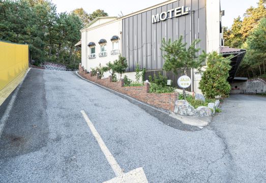 세종 자자무인텔