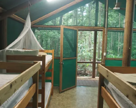 Daintree Crocodylus Hotels in Daintree