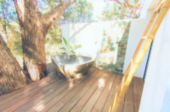 보타니크 호텔 부티크