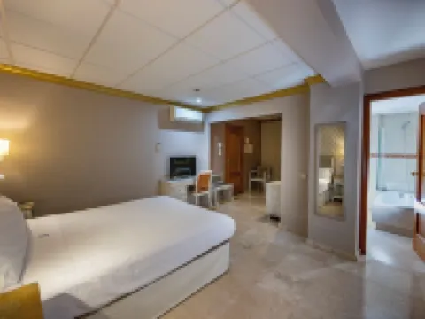 Hotel Sacromonte Hotels in Granada