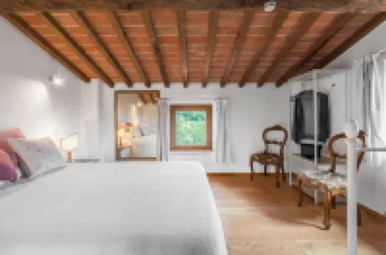 Vineyard’s Cottage with Pool, AC, Wifi - Siena