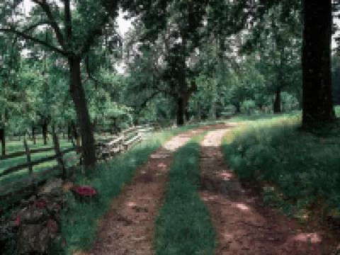 ドッペルハウスヘルフテ、ツィングスト ツィングシュトのホテル