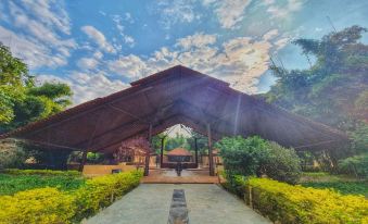 Greetoe Celebration Van Vilas