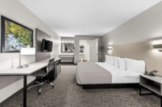 ควอลิตี้ อินน์แอนด์สวีทส์ ดอลลีวูด