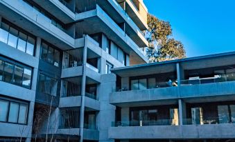 Luxury and Stylish Apt on NB Ave