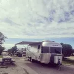 Roam and Board