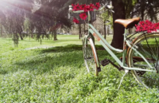 Best Western Classic Hotel Hotels in 