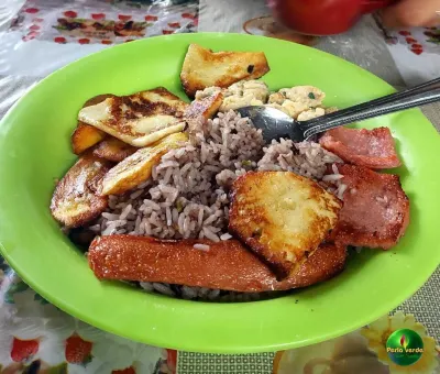 Perla Verde Hostel y Tours en la Zona فنادق في 