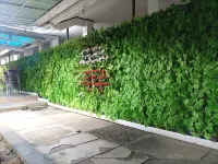Wisma Colomadu Ngemplak 호텔