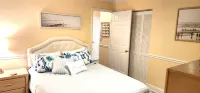 Stunning Oceanview Retreat - Beach Access & Garage Hotels in Ormond-by-the-Sea