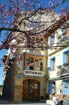 Posada Guadalupe Hotels in Monroyo