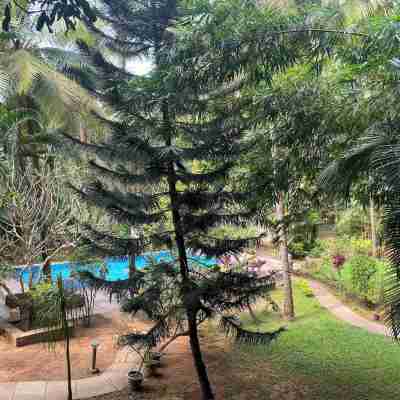 Tranquil Stay, Garden Estate - Palolem 1BHK Flat Fitness & Recreational Facilities