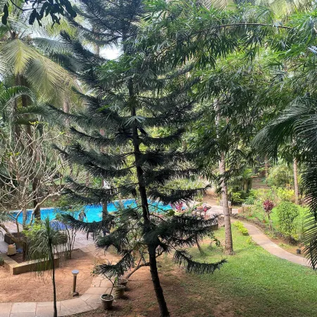Tranquil Stay, Garden Estate - Palolem 1BHK Flat