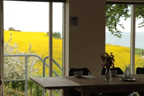 Stevns Klint Strandpension - chambre d’hôtes