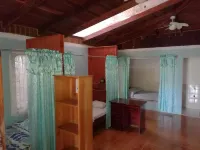 Hostel y Cabinas Tapandua Hotels in 