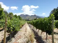 Franschhoek Rose Cottages