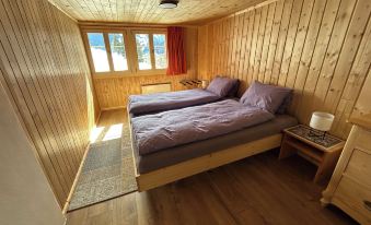 Alpenchalet Weidhaus Gstaad