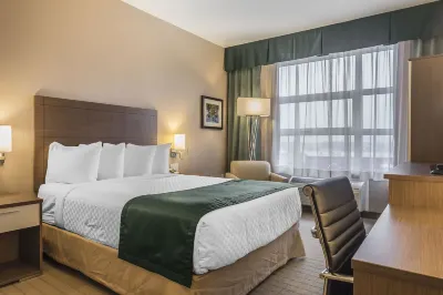 Quality Inn Sept-Iles Hotels in Sept-Îles