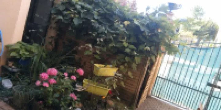 Le Madelon Hôtels à : Capdrot