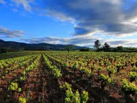 Hostal Restaurante la Charola Hotels in Villafranca del Bierzo
