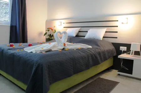 Garni Hotel 11Tica DM Отели в г. Ченеј