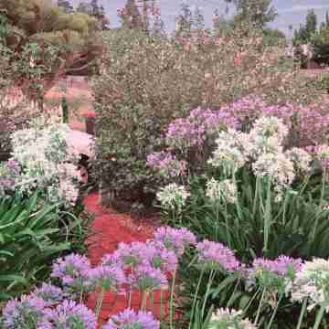 Daylesford A Very Quiet Abelia Cottage Botanical Cottage 10 Min Walk Town Hotel Exterior