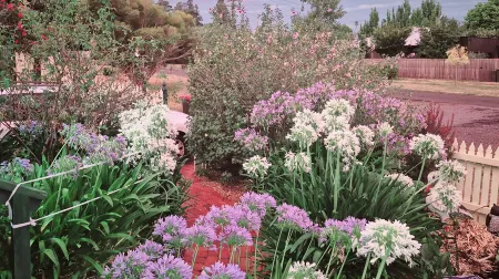 Daylesford A Very Quiet Abelia Cottage Botanical Cottage 10 Min Walk Town Отели рядом с достопримечательностью «Конвент Дейлсфорд»