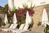 Swan Lake Hotel - Adult Only