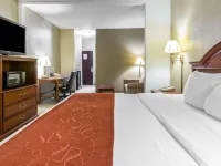 Comfort Suites Hotels in Daviess County