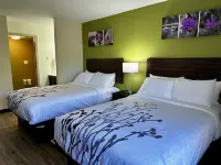 Sleep Inn Savannah Gateway I-95 Hotels in Savannah