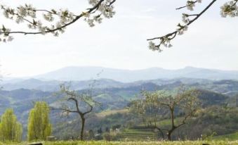 B&B le Dolci Colline Del Montefeltro