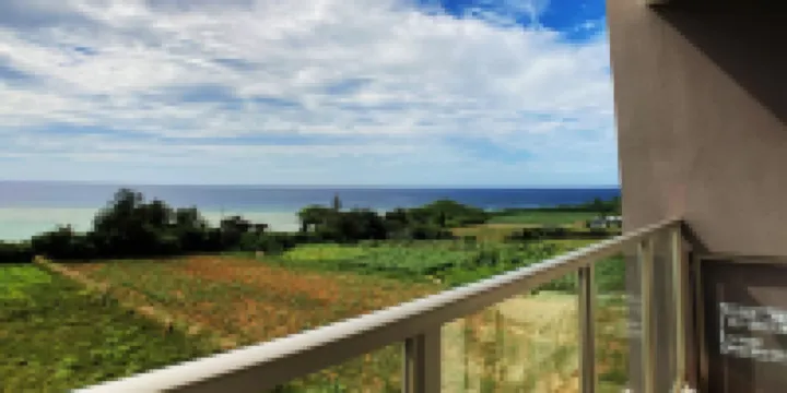 真榮田格蘭藍 403