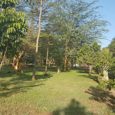 Kivu Resort