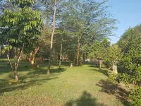 基伍度假飯店 住宿飯店