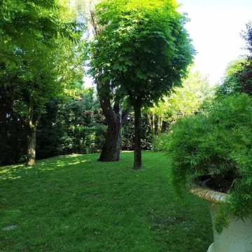 B&B Villa Delle Palme