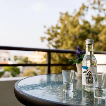 Terinikos Sunny Garden Hotel & Junior Suites