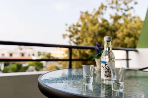 Terinikos Sunny Garden Hotel & Junior Suites - 2-Star
