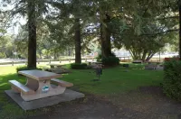 Lakeview Inn Hotels in Lakeport