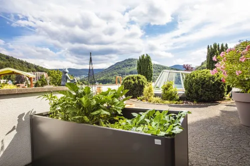Schwarzwald Panorama - Pet friendly
