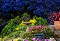 Emu Bay Holiday Homes Отели в г. Кингскот