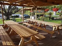 Waitomo Top 10 Holiday Park Hotels in Waitomo Caves