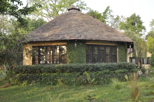 Rhino Lodge Bardia Pvt Ltd - breakfast