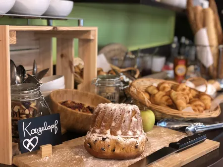 Hotel Arc-En-Ciel Colmar Contact Hotel