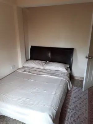 Home Style Apartments Отели в г. Канфилд