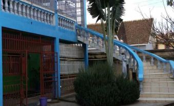 Villa Ravo