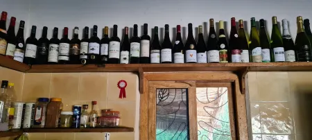 Ecolodge BAKSUNGAN Отели в г. Мбодьен