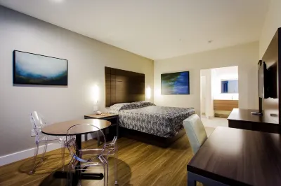 Palace Inn Blue US-59 & Gessner Hotels near Chinatown