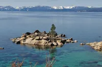 Tahoe Chaparral